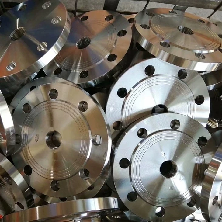 UNS S32760 Stainless Steel Flanges
